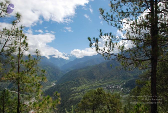 20080701 Photo 1600 1xwsu1jXhxAy67btpCLgKGOWpyCSII8p6.JPG