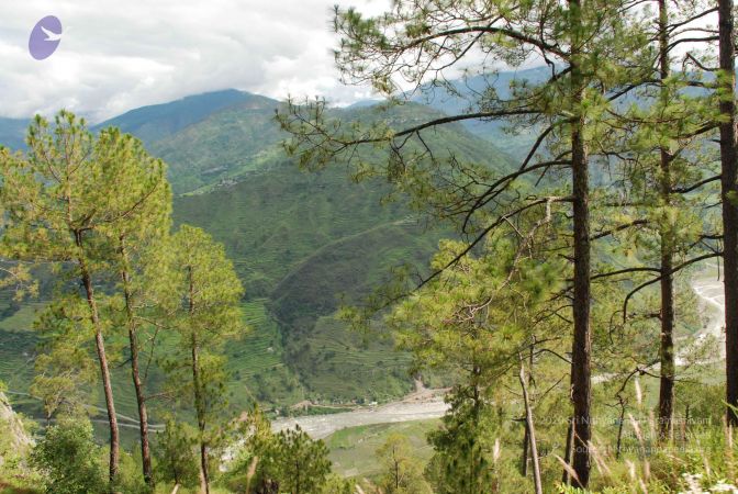 20080701 Photo 1603 1Fn74MzJzumdlTeDe -xtv2tVZiUaky1t.JPG