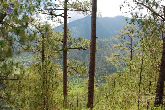 20080701 Photo 1610 1-85dwgTzDTZwbusWgzaNygicrqHMrLC6.JPG