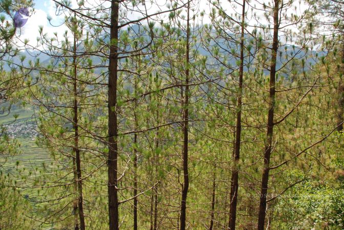 20080701 Photo 1611 1q sSaMAEmkTLp3iM6azgCXjB-f1iCtSj.JPG