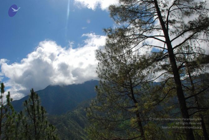 20080701 Photo 1623 1lIwKVZusNMHf BRDfjMBqBbegSAEACDd.JPG