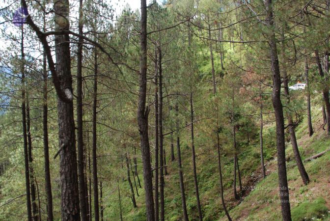 20080701 Photo 1626 16Ah kb85Jirtjx aj-1Tf9W ht6el -f.JPG