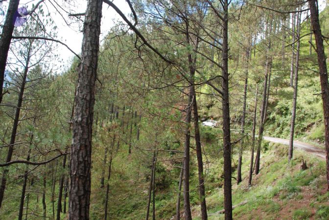 20080701 Photo 1627 1ZUChy3X Dt6hsnewxxn607nXIVW8Q8dP.JPG