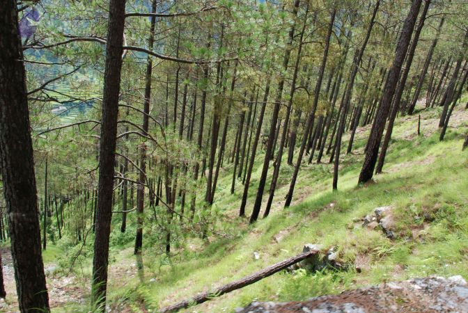 20080701 Photo 1637 1PUtVINczGBKssvONtLYWCfKyp0-nLQhG.JPG