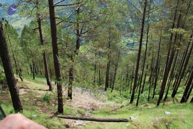 20080701 Photo 1638 1rzK9bdDaJsW3bcYegp3EDezVgFVgkQiz.JPG