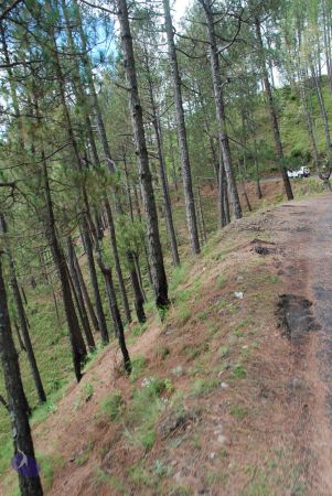 20080701 Photo 1649 1uz7gqkdAUkwxsaMcbkPaR6Q3ImXCSVpp.JPG