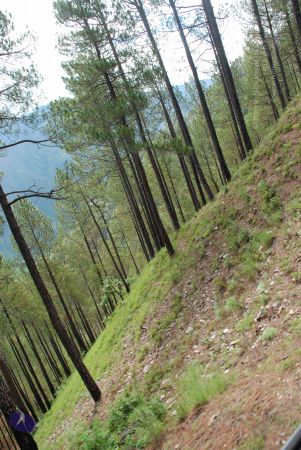 20080701 Photo 1659 1Xmulyc3BLGOxMCPX-R3oICMYHt2pOxh0.JPG