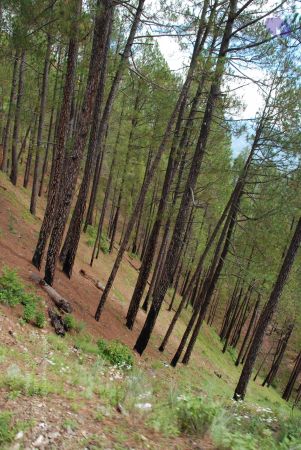 20080701 Photo 1660 1J061Xg0WbmD0rVWomwJ8A1n8uQ72g1fL.JPG