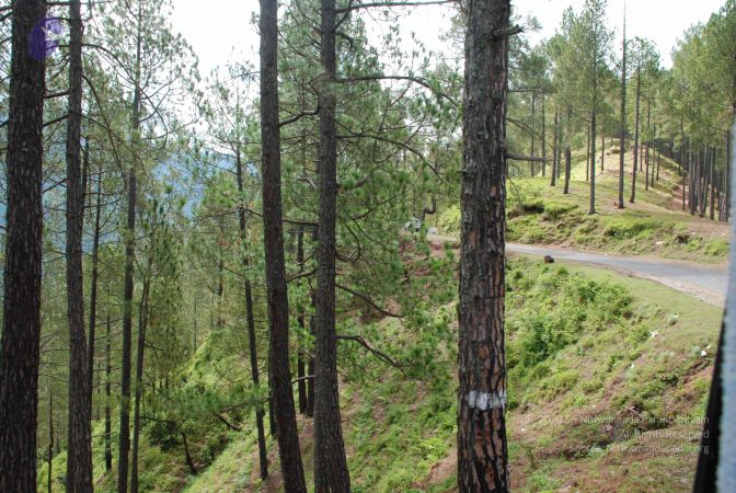 20080701 Photo 1661 1nYyaAo3NTVVGfui4pEO ST1pu5sBAzFI.JPG