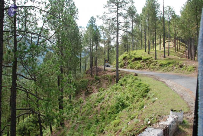 20080701 Photo 1662 1HW9qh9mfY5gXwudFktmW4BVsScCVue5x.JPG