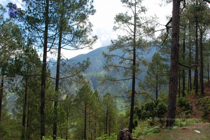 20080701 Photo 1665 1v eBQhZ HC-mGz LJr4Ie7kIId-aywp .JPG