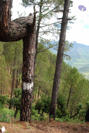 20080701 Photo 1668 1ClbNVUnO7aFclLdzAlwld9ev6Xu fn4n.JPG