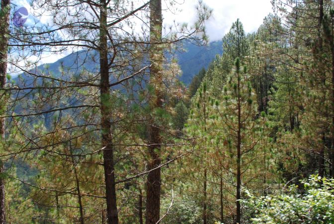 20080701 Photo 1673 11pebTuSZz-T4Gx-02OrWcBjgmvg-Db0w.JPG