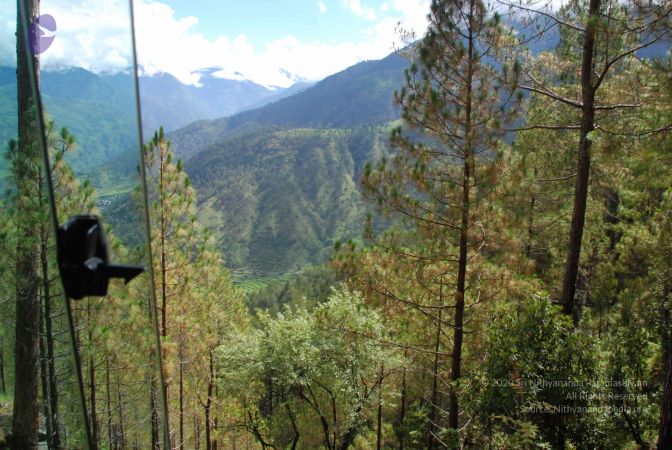 20080701 Photo 1675 199qGBDHvxU97uswaeMMsZx7PYcWv85NM.JPG