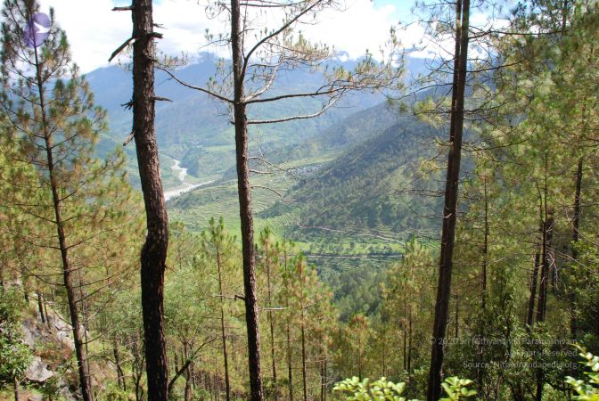 20080701 Photo 1677 1cuVGWWRQhDhXh-Kywl4HWzk6dyJWaGlq.JPG