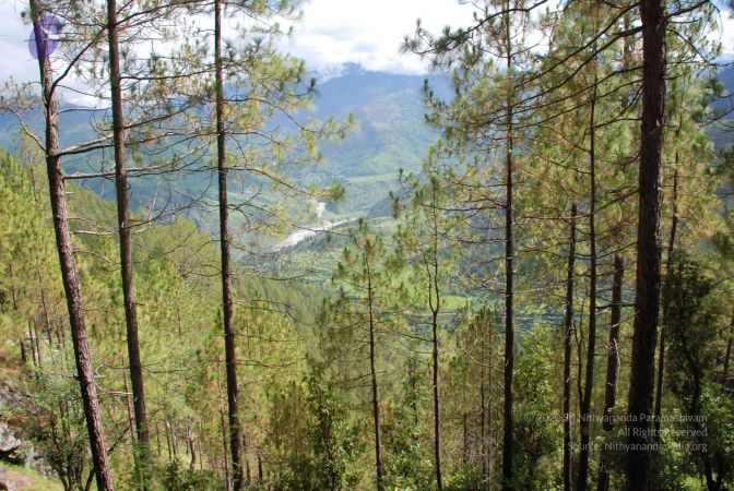 20080701 Photo 1678 1MW3wzip2vogIsGqZ6Z XIGxo9XdkVbry.JPG