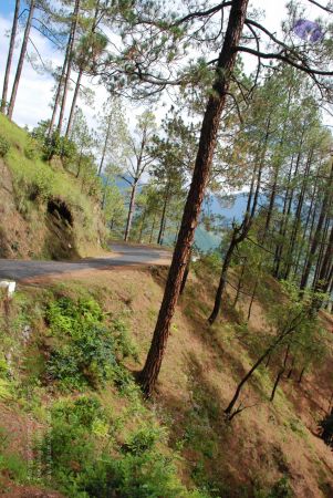 20080701 Photo 1683 1UG1l16KXHJ5RnhM8 XWpyi2W2IaK2ZM .JPG