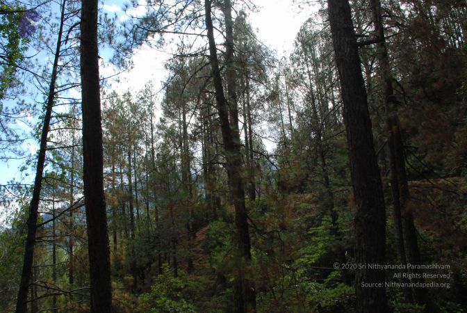 20080701 Photo 1689 1RInIW5WeXD2SRSyIaRSeRDlQ40vAdcPU.JPG