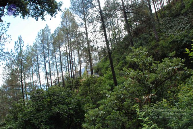 20080701 Photo 1693 1ARld1bbg10P0JmqQndl neFG4Qk1FUBT.JPG