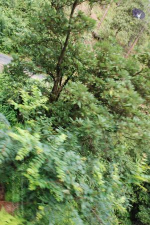 20080701 Photo 1698 1BdxwV~YK0pl3pDc6-s7m7K2b-R6eecR.JPG