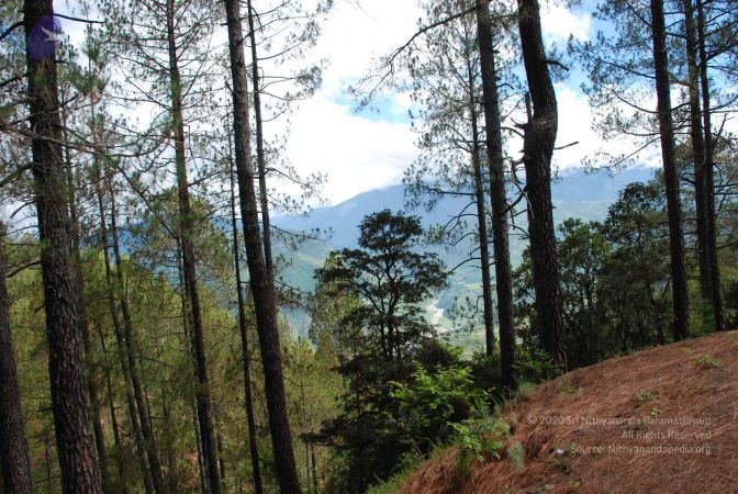 20080701 Photo 1704 1p4aRQV7uOqoh6ak d3gfOMUQwsm8ZSy5.JPG