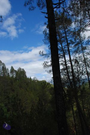 20080701 Photo 1713 1IGrLQdIMobqdWmvl5pJ N685jBaUMKiw.JPG