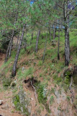 20080701 Photo 1716 1DJJM4Q1sW14qcq7Pz5yijLIM0EnbQEzF.JPG