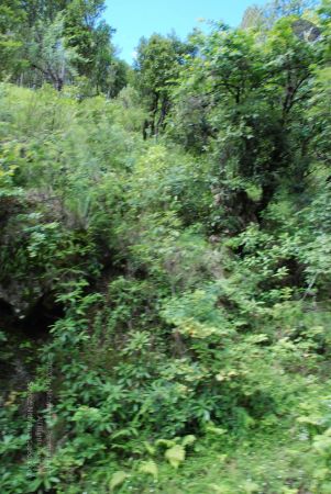 20080701 Photo 1717 1YBD8pGIR7DRALm qI-T5xn-ZKduAcG0D.JPG