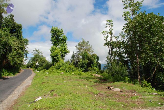 20080701 Photo 1721 1zgHC0MmBLnfuJ6AEBzT645J4i-mJd1bY.JPG