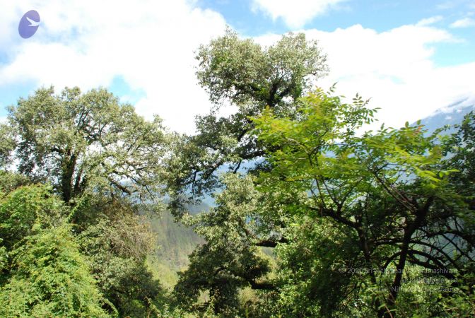 20080701 Photo 1724 1RerkVSsih3GpbC6Ns8sZlf1YQE-iUluE.JPG