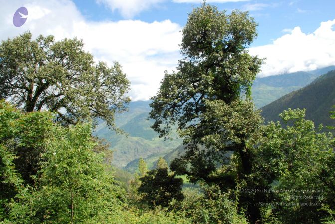 20080701 Photo 1725 1J6lGj6Re6BryW00Mvvbr hizHor7C8Xp.JPG