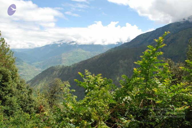 20080701 Photo 1732 1Wnwa10UOoMGZDQnsXsUceGCr276yV132.JPG