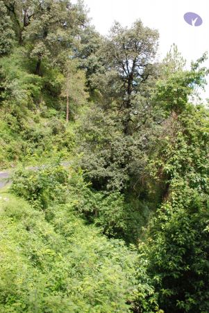 20080701 Photo 1734 1O2UkHVVvNzbaN9Y2jdwtpZitlv7XbbLZ.JPG