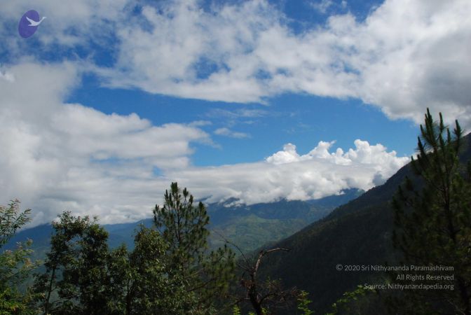 20080701 Photo 1738 1en7z zRJlePAOM2SYcnZ0vyppz9i7i-o.JPG