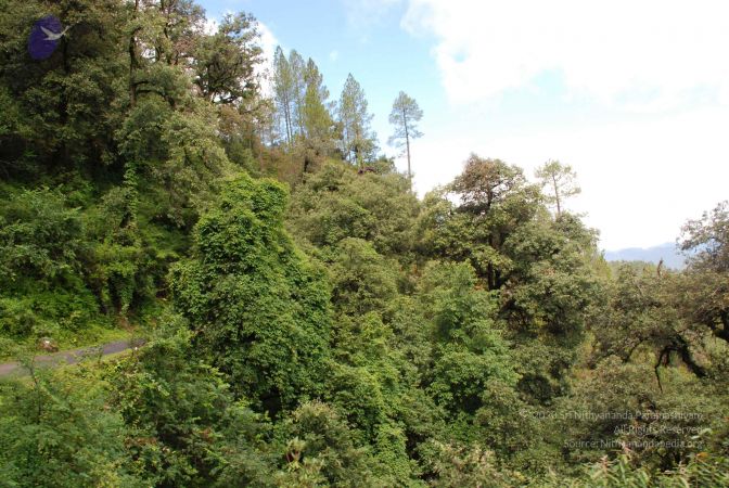 20080701 Photo 1739 13DeXPe72m8HFToMz7lCR4jVun569lB83.JPG