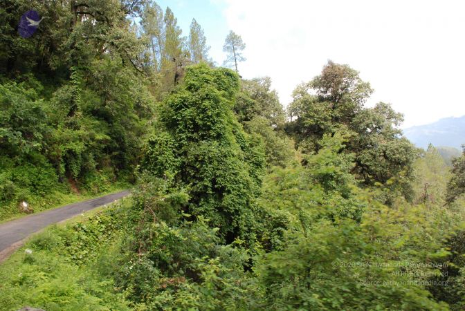 20080701 Photo 1740 1tuv3FnyvZRHI3oZCsHIUnVQSjahe2XNV.JPG