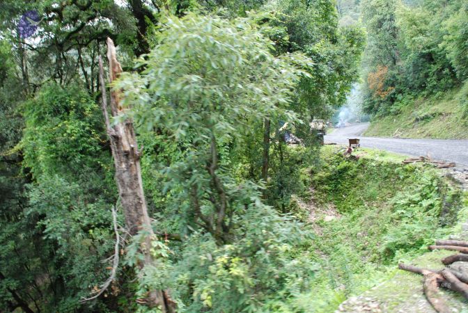 20080701 Photo 1757 1FB982kuVigBVR2flDLXIS4Fmvn525Bj3.JPG