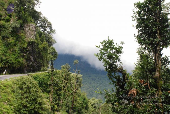 20080701 Photo 1758 1NpsbgJBoAS TX6WL5S8YTCyQeDAY5Zl0.JPG