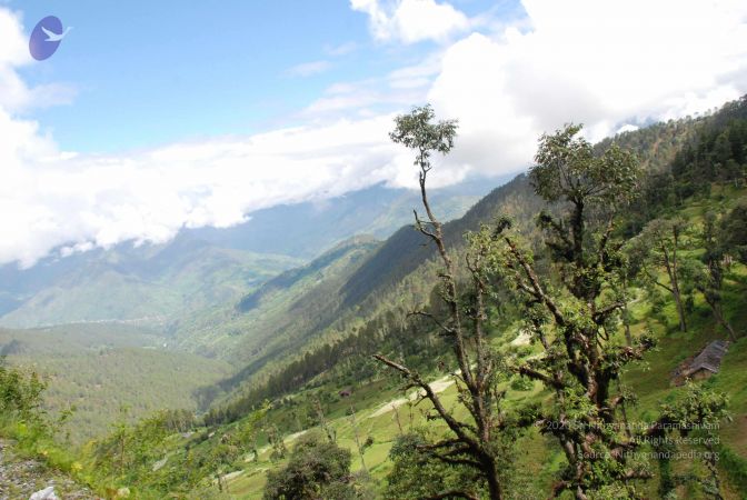 20080701 Photo 1761 1QR36JE5fmF9C0MZ4bsJ7ETJC8VVStEoY.JPG