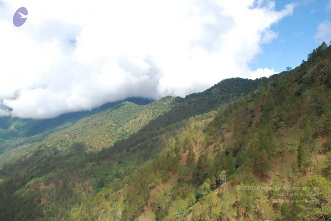 20080701 Photo 1775 1NJxvYGEYf7L-yKSpk98tEFehj5z4NqGX.JPG