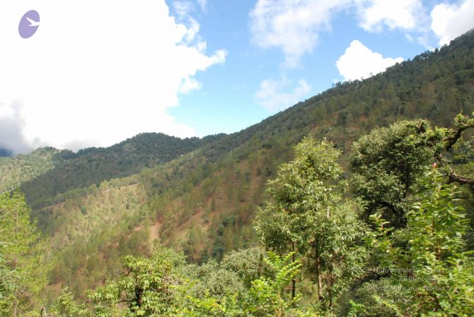 20080701 Photo 1781 1uwbdpYeJ1BK74dRmeaznzuNCJRaEx1vx.JPG