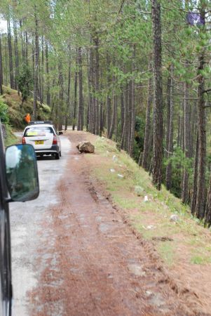 20080701 Photo 1787 1IIWc0fI5NuQw2wTt0pMBeaORJxgclCU3.JPG