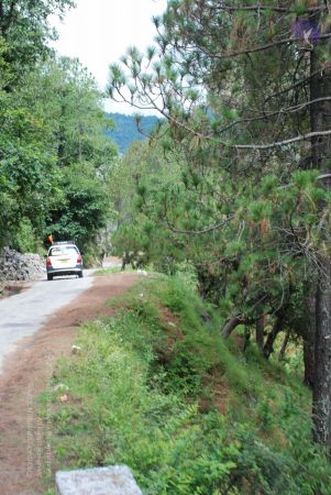 20080701 Photo 1811 1JybhlrvqwUh3lz3ibGVaNlFFGW6pDW6O.JPG