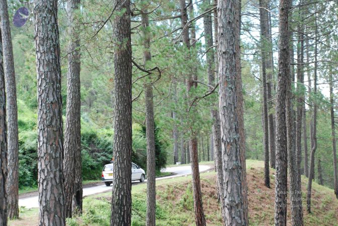 20080701 Photo 1812 1yCVzdHO0rIyP0P8PCjDP0VLfUXcpPtCm.JPG