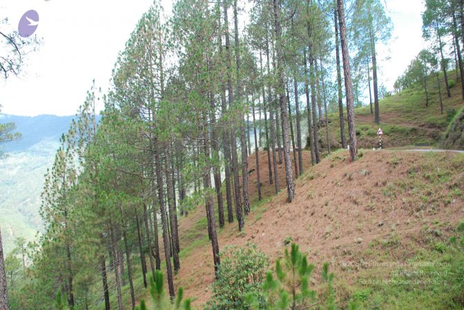 20080701 Photo 1814 1a nKCtRJmF8UH f1g3zb1R95~aiBGcy.JPG