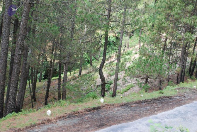 20080701 Photo 1817 1X-rSe-ewGviowY6xvMe640mhT7mCE81L.JPG