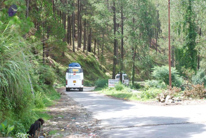 20080701 Photo 1828 1-7RA P3F-2yO8a0D1xgeMOsqGz-pd-og.JPG