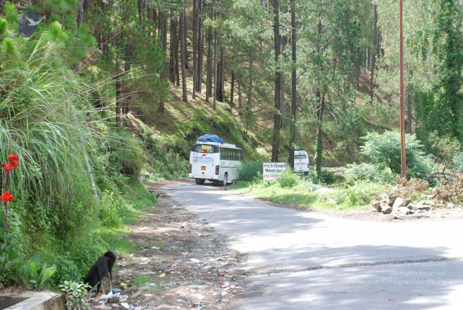 20080701 Photo 1829 1j4lFIOI7DxNUf4B-Mg2m1sWC0L SfzzA.JPG