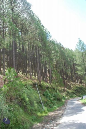 20080701 Photo 1831 1s4nATI8CcNxre5WJGBE41onipQC8vvWQ.JPG