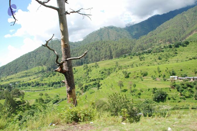 20080701 Photo 1834 1EzCf9lpRaUAPcNyDb0Kb5wu7SLUvkMIT.JPG